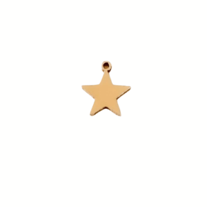 Star Charm 14K Gold Filled & Sterling Silver