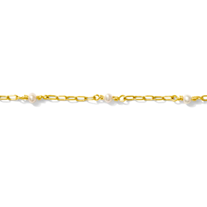 Paperclip & Pearl 14K Gold Filled Chain